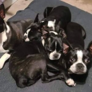 Meet your Posher, Marcos